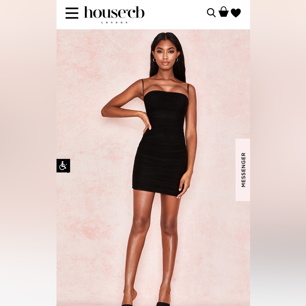 ELLA 

BLACK RUCHED ORGANZA MESH MINI DRESS